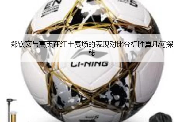 郑钦文与高芙在红土赛场的表现对比分析胜算几何探秘
