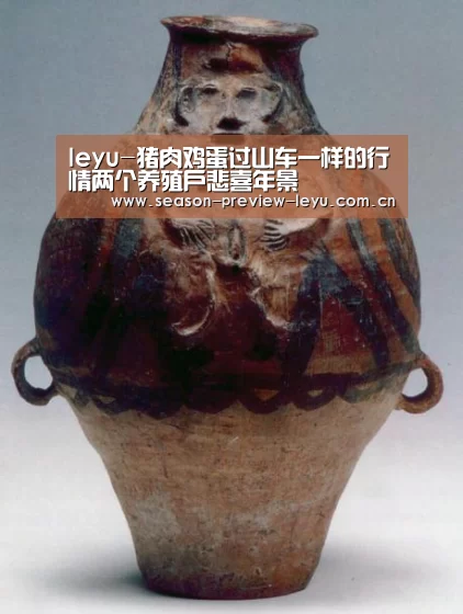 leyu-猪肉鸡蛋过山车一样的行情两个养殖户悲喜年景(图3)